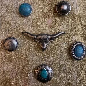 Silver and Turquoise Bull Brooch Set